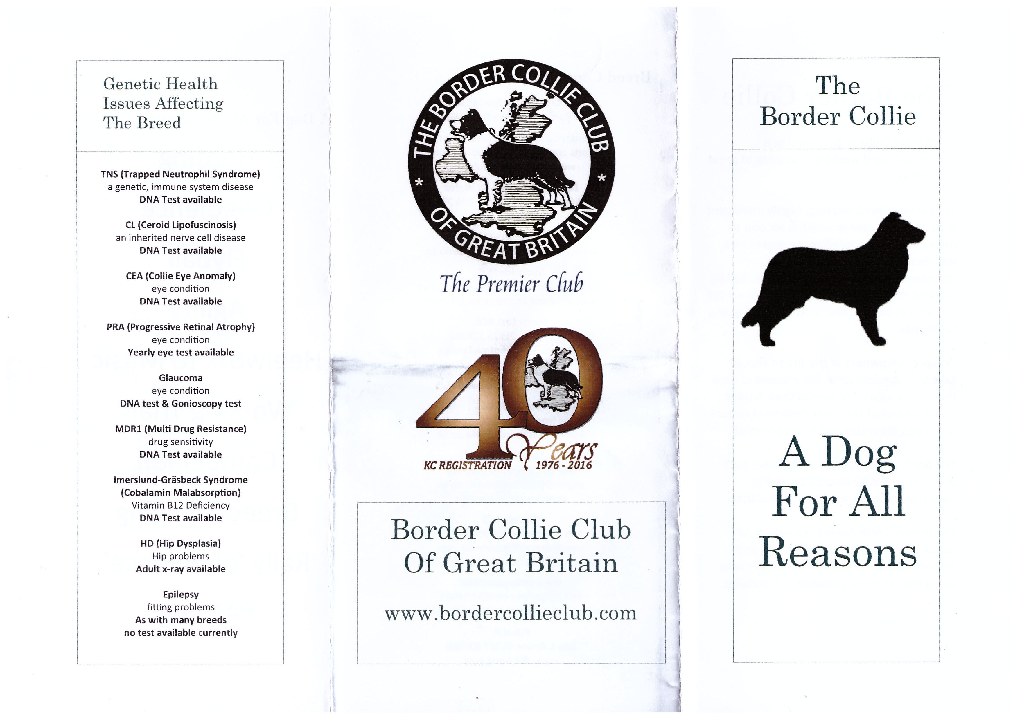 Border Collie Club of Great Britain